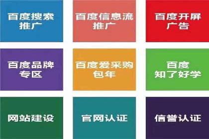 搜索引擎优化（SEO）在百度上的应用案例研究